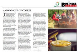 A Good Cup of Coffee - Beaver Creek