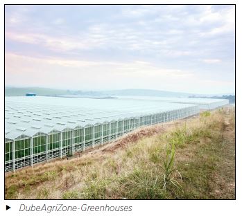 DubeAgriZone-Greenhouses