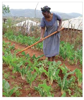 Empowering women in agri-business