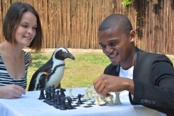 uShaka Marine - Get your entry in for uShaka Marine Worldâ€™s Chess Carnival 2017 