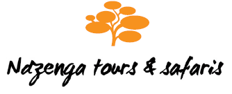 Ndzenga Tours and Safaris Logo