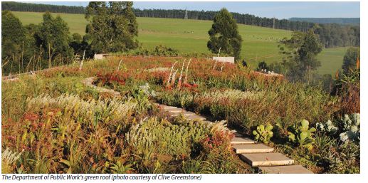 Department of Public Works Green Roof