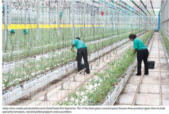 KZN Going Green