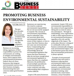 KZN Business Sense - Promoting Business Environmental Sustainability Carla Higgs, Inspire CSR