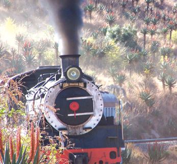 Sisonke Steam Train