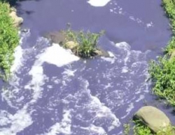 eThekwini Municipality - City puts measures in place to mitigate Umbilo River pollution