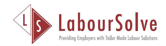 Labour Solve