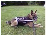 eThekwini Municipality - ETHEKWINI CARES ABOUT WELLBEING OF ALL METRO POLICE UNIT DOGS